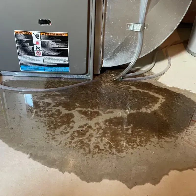 Appliance Leak Cleanup in Big Coppitt Key, FL